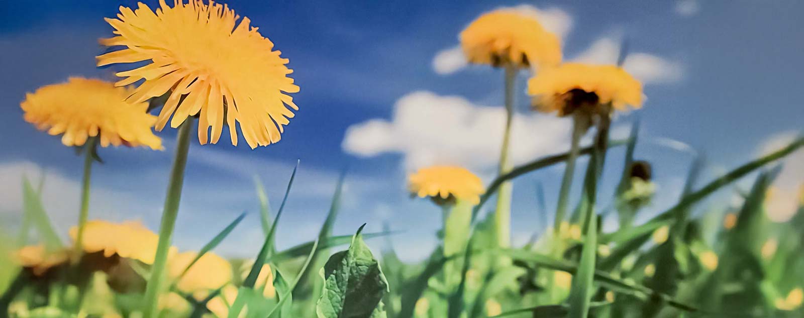 maike oetter osteopathin msc ost do heilpraktikerin titel